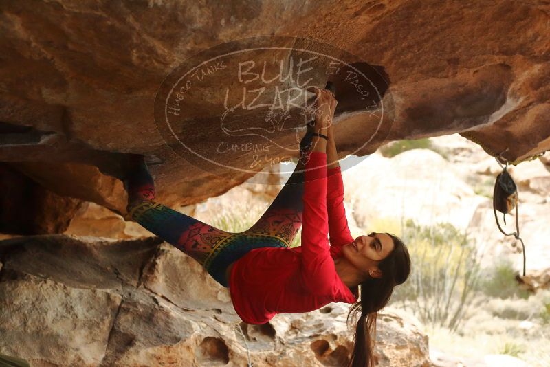 Bouldering in Hueco Tanks on 12/24/2019 with Blue Lizard Climbing and Yoga

Filename: SRM_20191224_1608140.jpg
Aperture: f/4.0
Shutter Speed: 1/200
Body: Canon EOS-1D Mark II
Lens: Canon EF 50mm f/1.8 II