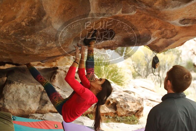 Bouldering in Hueco Tanks on 12/24/2019 with Blue Lizard Climbing and Yoga

Filename: SRM_20191224_1608330.jpg
Aperture: f/3.5
Shutter Speed: 1/200
Body: Canon EOS-1D Mark II
Lens: Canon EF 50mm f/1.8 II