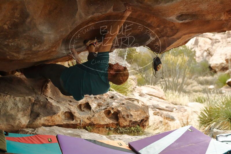 Bouldering in Hueco Tanks on 12/24/2019 with Blue Lizard Climbing and Yoga

Filename: SRM_20191224_1611310.jpg
Aperture: f/4.0
Shutter Speed: 1/200
Body: Canon EOS-1D Mark II
Lens: Canon EF 50mm f/1.8 II