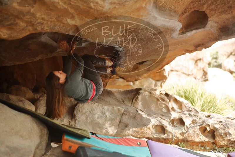 Bouldering in Hueco Tanks on 12/24/2019 with Blue Lizard Climbing and Yoga

Filename: SRM_20191224_1618310.jpg
Aperture: f/2.2
Shutter Speed: 1/200
Body: Canon EOS-1D Mark II
Lens: Canon EF 50mm f/1.8 II