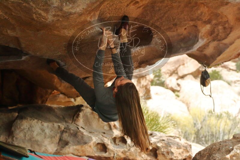 Bouldering in Hueco Tanks on 12/24/2019 with Blue Lizard Climbing and Yoga

Filename: SRM_20191224_1618590.jpg
Aperture: f/4.5
Shutter Speed: 1/250
Body: Canon EOS-1D Mark II
Lens: Canon EF 50mm f/1.8 II