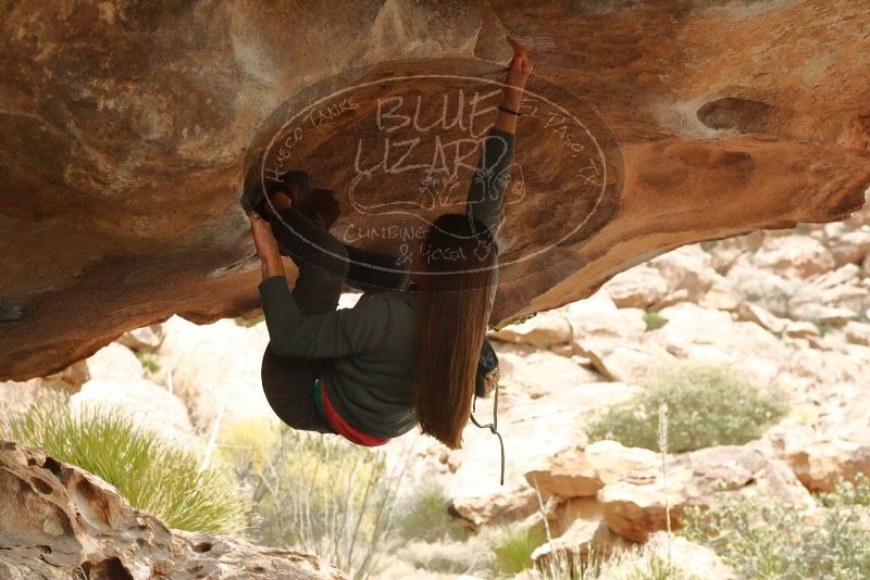 Bouldering in Hueco Tanks on 12/24/2019 with Blue Lizard Climbing and Yoga

Filename: SRM_20191224_1619130.jpg
Aperture: f/4.5
Shutter Speed: 1/250
Body: Canon EOS-1D Mark II
Lens: Canon EF 50mm f/1.8 II