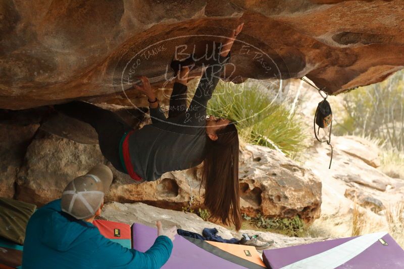 Bouldering in Hueco Tanks on 12/24/2019 with Blue Lizard Climbing and Yoga

Filename: SRM_20191224_1620110.jpg
Aperture: f/4.5
Shutter Speed: 1/250
Body: Canon EOS-1D Mark II
Lens: Canon EF 50mm f/1.8 II