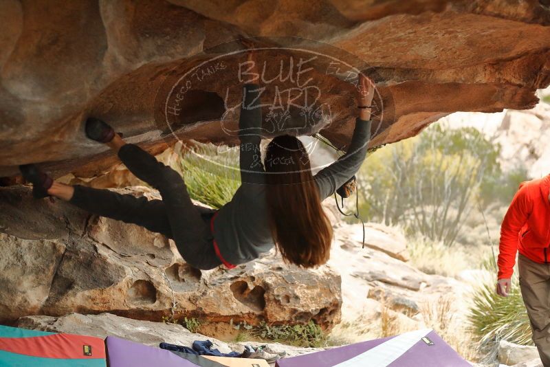 Bouldering in Hueco Tanks on 12/24/2019 with Blue Lizard Climbing and Yoga

Filename: SRM_20191224_1625140.jpg
Aperture: f/2.8
Shutter Speed: 1/250
Body: Canon EOS-1D Mark II
Lens: Canon EF 50mm f/1.8 II