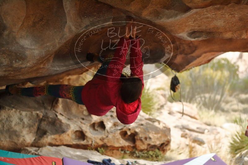Bouldering in Hueco Tanks on 12/24/2019 with Blue Lizard Climbing and Yoga

Filename: SRM_20191224_1625570.jpg
Aperture: f/2.8
Shutter Speed: 1/250
Body: Canon EOS-1D Mark II
Lens: Canon EF 50mm f/1.8 II
