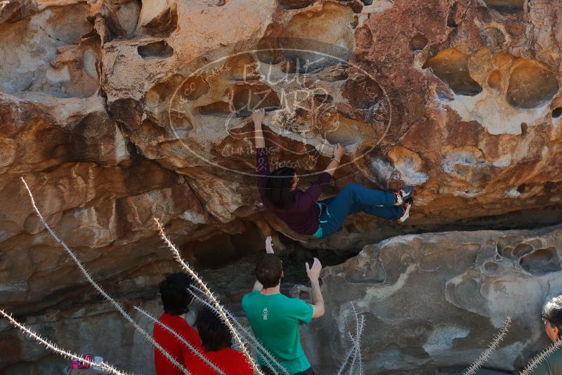 Bouldering in Hueco Tanks on 12/26/2019 with Blue Lizard Climbing and Yoga

Filename: SRM_20191226_1108080.jpg
Aperture: f/5.0
Shutter Speed: 1/250
Body: Canon EOS-1D Mark II
Lens: Canon EF 50mm f/1.8 II