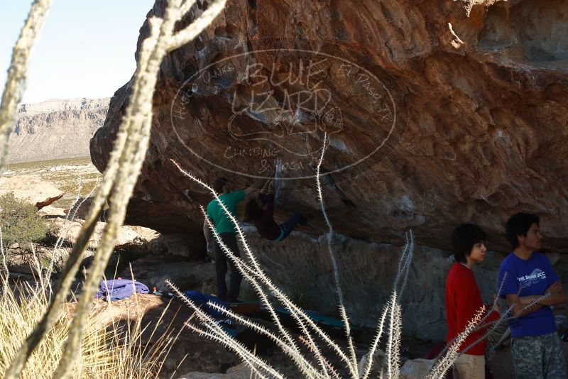 Bouldering in Hueco Tanks on 12/26/2019 with Blue Lizard Climbing and Yoga

Filename: SRM_20191226_1116320.jpg
Aperture: f/7.1
Shutter Speed: 1/250
Body: Canon EOS-1D Mark II
Lens: Canon EF 50mm f/1.8 II