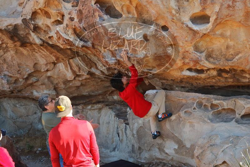 Bouldering in Hueco Tanks on 12/26/2019 with Blue Lizard Climbing and Yoga

Filename: SRM_20191226_1117050.jpg
Aperture: f/4.0
Shutter Speed: 1/250
Body: Canon EOS-1D Mark II
Lens: Canon EF 50mm f/1.8 II
