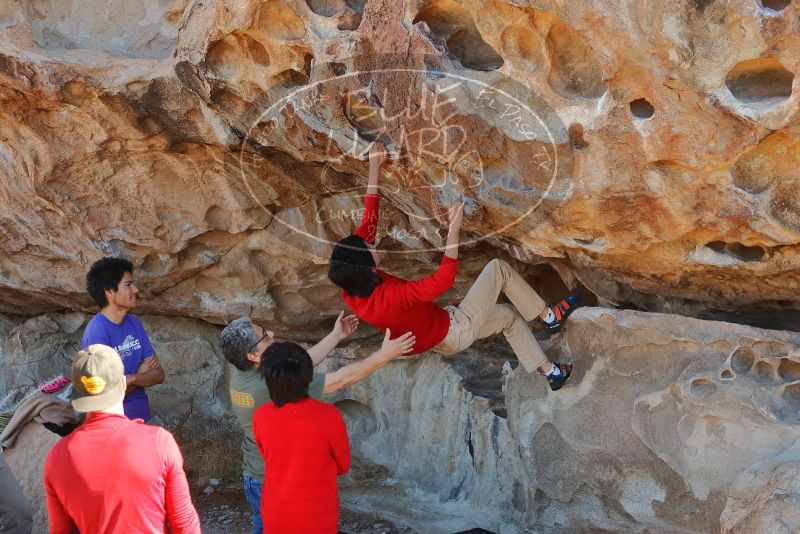 Bouldering in Hueco Tanks on 12/26/2019 with Blue Lizard Climbing and Yoga

Filename: SRM_20191226_1117560.jpg
Aperture: f/4.0
Shutter Speed: 1/250
Body: Canon EOS-1D Mark II
Lens: Canon EF 50mm f/1.8 II