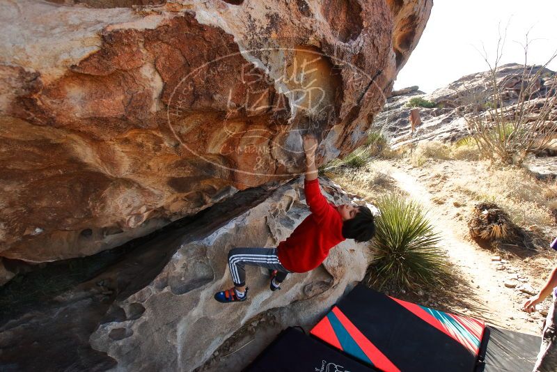 Bouldering in Hueco Tanks on 12/26/2019 with Blue Lizard Climbing and Yoga

Filename: SRM_20191226_1128550.jpg
Aperture: f/5.6
Shutter Speed: 1/500
Body: Canon EOS-1D Mark II
Lens: Canon EF 16-35mm f/2.8 L
