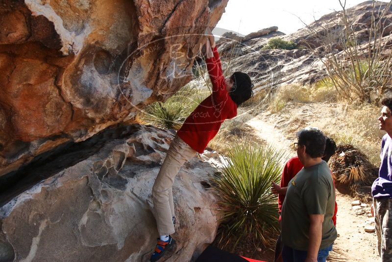 Bouldering in Hueco Tanks on 12/26/2019 with Blue Lizard Climbing and Yoga

Filename: SRM_20191226_1132180.jpg
Aperture: f/7.1
Shutter Speed: 1/500
Body: Canon EOS-1D Mark II
Lens: Canon EF 16-35mm f/2.8 L