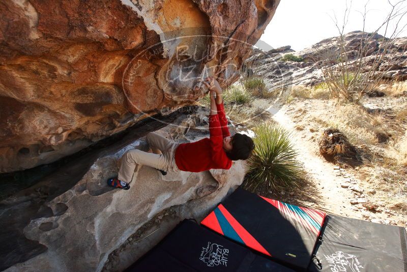 Bouldering in Hueco Tanks on 12/26/2019 with Blue Lizard Climbing and Yoga

Filename: SRM_20191226_1135240.jpg
Aperture: f/6.3
Shutter Speed: 1/500
Body: Canon EOS-1D Mark II
Lens: Canon EF 16-35mm f/2.8 L