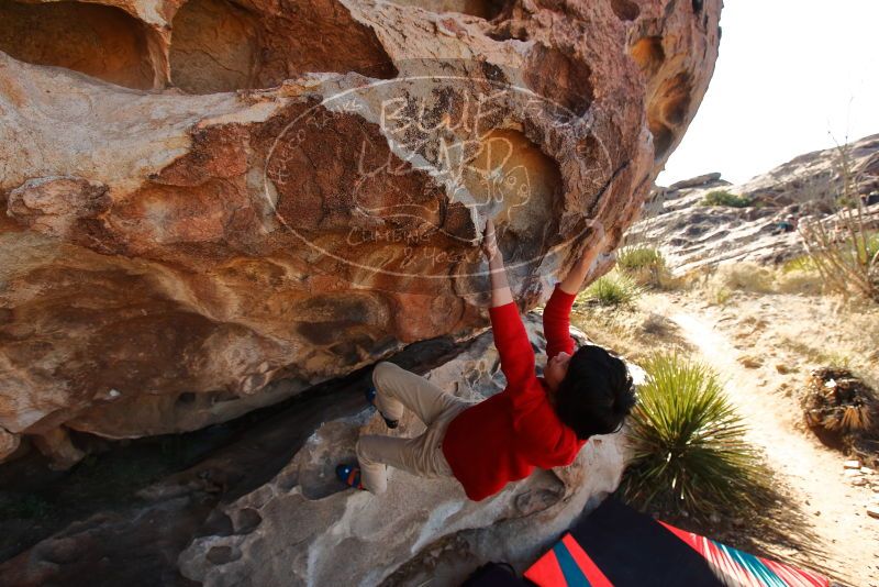 Bouldering in Hueco Tanks on 12/26/2019 with Blue Lizard Climbing and Yoga

Filename: SRM_20191226_1135310.jpg
Aperture: f/5.6
Shutter Speed: 1/500
Body: Canon EOS-1D Mark II
Lens: Canon EF 16-35mm f/2.8 L