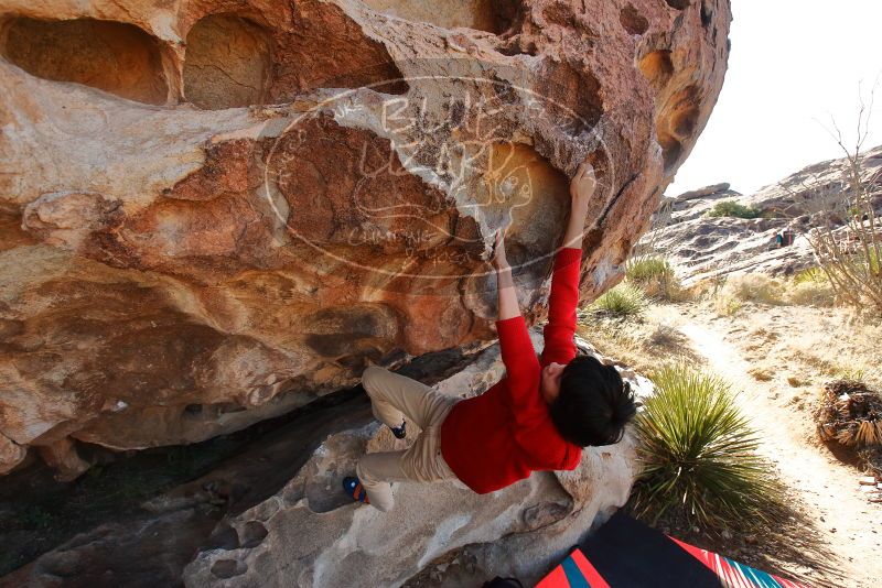 Bouldering in Hueco Tanks on 12/26/2019 with Blue Lizard Climbing and Yoga

Filename: SRM_20191226_1135311.jpg
Aperture: f/5.6
Shutter Speed: 1/500
Body: Canon EOS-1D Mark II
Lens: Canon EF 16-35mm f/2.8 L
