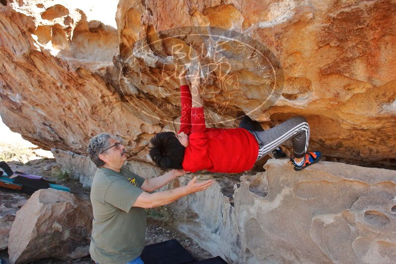 Bouldering in Hueco Tanks on 12/26/2019 with Blue Lizard Climbing and Yoga

Filename: SRM_20191226_1143040.jpg
Aperture: f/5.6
Shutter Speed: 1/320
Body: Canon EOS-1D Mark II
Lens: Canon EF 16-35mm f/2.8 L
