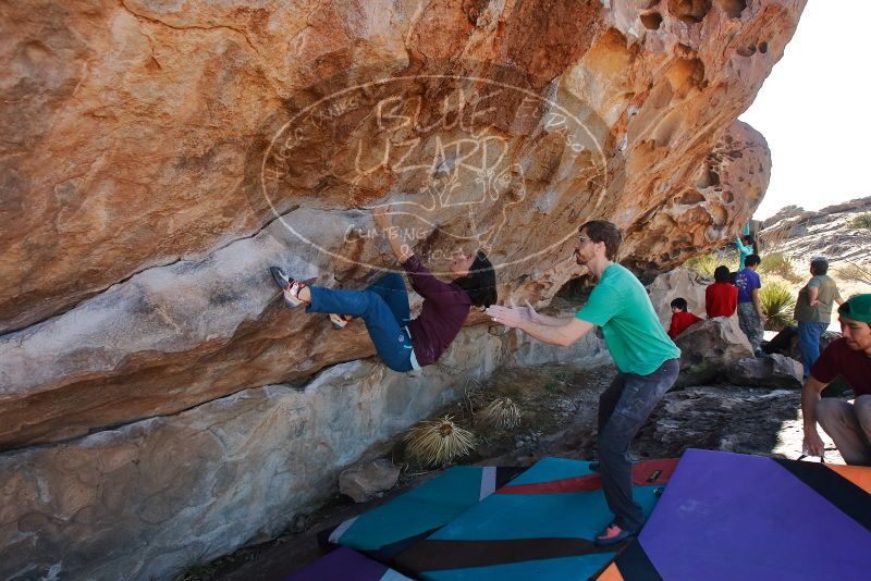 Bouldering in Hueco Tanks on 12/26/2019 with Blue Lizard Climbing and Yoga

Filename: SRM_20191226_1152140.jpg
Aperture: f/5.6
Shutter Speed: 1/320
Body: Canon EOS-1D Mark II
Lens: Canon EF 16-35mm f/2.8 L