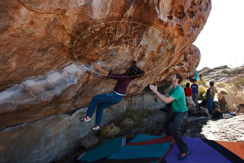 Bouldering in Hueco Tanks on 12/26/2019 with Blue Lizard Climbing and Yoga

Filename: SRM_20191226_1152170.jpg
Aperture: f/6.3
Shutter Speed: 1/320
Body: Canon EOS-1D Mark II
Lens: Canon EF 16-35mm f/2.8 L