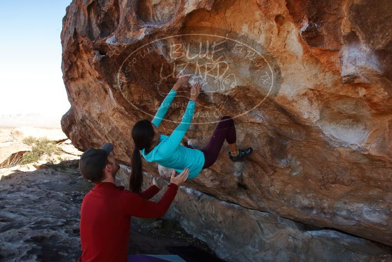 Bouldering in Hueco Tanks on 12/26/2019 with Blue Lizard Climbing and Yoga

Filename: SRM_20191226_1157330.jpg
Aperture: f/7.1
Shutter Speed: 1/320
Body: Canon EOS-1D Mark II
Lens: Canon EF 16-35mm f/2.8 L