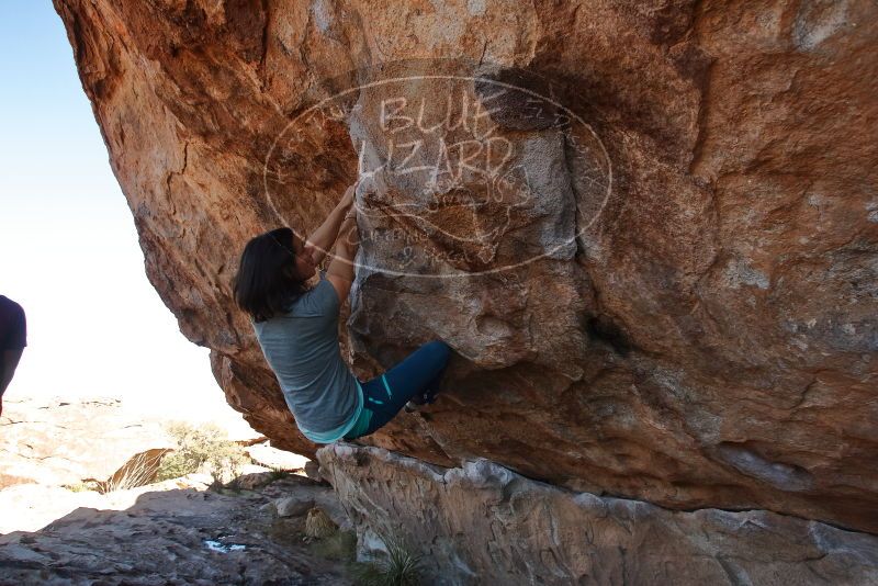 Bouldering in Hueco Tanks on 12/26/2019 with Blue Lizard Climbing and Yoga

Filename: SRM_20191226_1212410.jpg
Aperture: f/5.6
Shutter Speed: 1/320
Body: Canon EOS-1D Mark II
Lens: Canon EF 16-35mm f/2.8 L