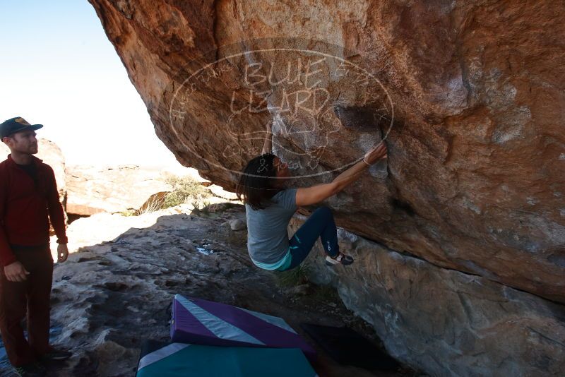 Bouldering in Hueco Tanks on 12/26/2019 with Blue Lizard Climbing and Yoga

Filename: SRM_20191226_1212500.jpg
Aperture: f/6.3
Shutter Speed: 1/320
Body: Canon EOS-1D Mark II
Lens: Canon EF 16-35mm f/2.8 L