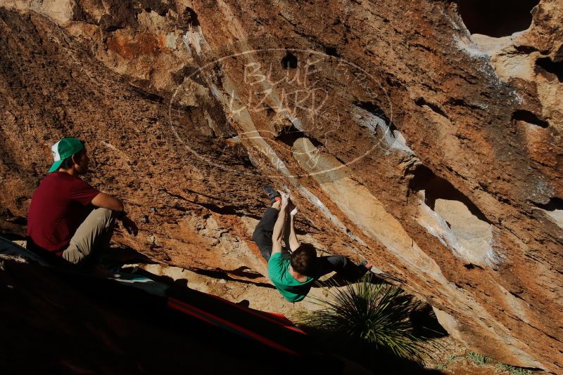 Bouldering in Hueco Tanks on 12/26/2019 with Blue Lizard Climbing and Yoga

Filename: SRM_20191226_1503240.jpg
Aperture: f/18.0
Shutter Speed: 1/250
Body: Canon EOS-1D Mark II
Lens: Canon EF 16-35mm f/2.8 L