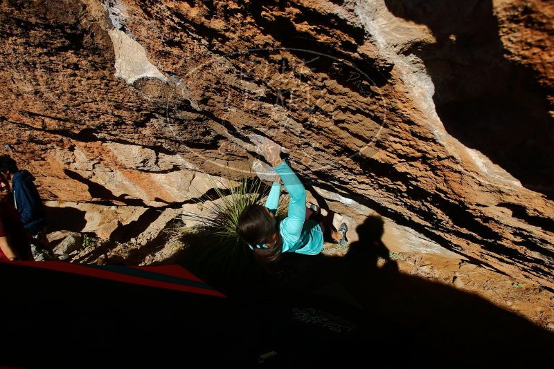 Bouldering in Hueco Tanks on 12/26/2019 with Blue Lizard Climbing and Yoga

Filename: SRM_20191226_1514480.jpg
Aperture: f/7.1
Shutter Speed: 1/500
Body: Canon EOS-1D Mark II
Lens: Canon EF 16-35mm f/2.8 L
