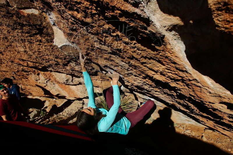 Bouldering in Hueco Tanks on 12/26/2019 with Blue Lizard Climbing and Yoga

Filename: SRM_20191226_1514510.jpg
Aperture: f/7.1
Shutter Speed: 1/500
Body: Canon EOS-1D Mark II
Lens: Canon EF 16-35mm f/2.8 L