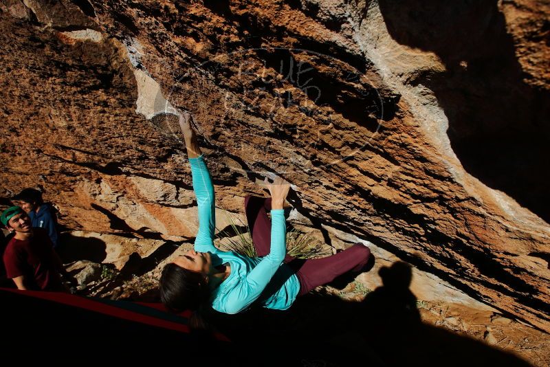 Bouldering in Hueco Tanks on 12/26/2019 with Blue Lizard Climbing and Yoga

Filename: SRM_20191226_1514530.jpg
Aperture: f/8.0
Shutter Speed: 1/500
Body: Canon EOS-1D Mark II
Lens: Canon EF 16-35mm f/2.8 L
