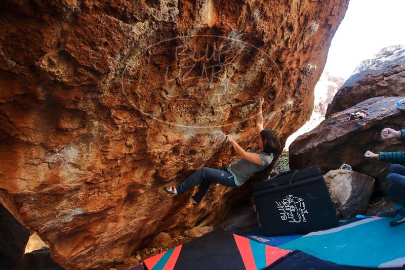 Bouldering in Hueco Tanks on 12/26/2019 with Blue Lizard Climbing and Yoga

Filename: SRM_20191226_1627010.jpg
Aperture: f/3.5
Shutter Speed: 1/250
Body: Canon EOS-1D Mark II
Lens: Canon EF 16-35mm f/2.8 L