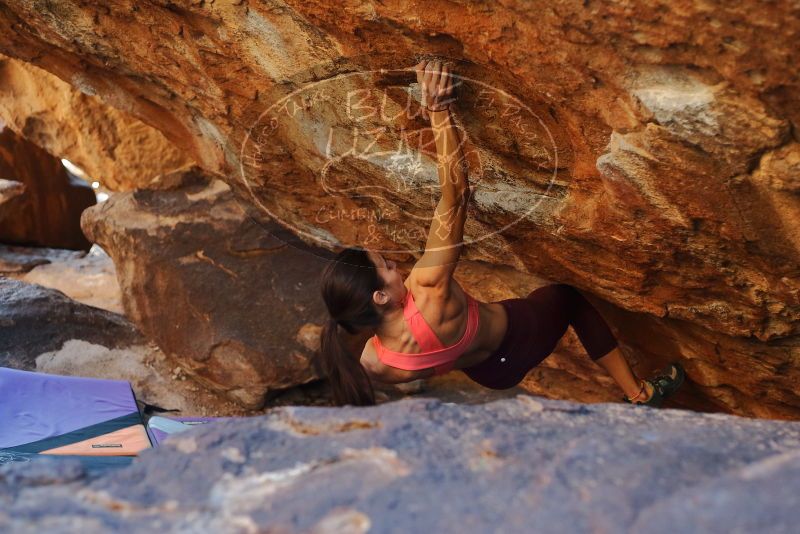 Bouldering in Hueco Tanks on 12/26/2019 with Blue Lizard Climbing and Yoga

Filename: SRM_20191226_1707320.jpg
Aperture: f/2.8
Shutter Speed: 1/320
Body: Canon EOS-1D Mark II
Lens: Canon EF 50mm f/1.8 II