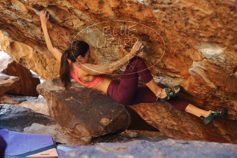 Bouldering in Hueco Tanks on 12/26/2019 with Blue Lizard Climbing and Yoga

Filename: SRM_20191226_1707370.jpg
Aperture: f/2.5
Shutter Speed: 1/320
Body: Canon EOS-1D Mark II
Lens: Canon EF 50mm f/1.8 II