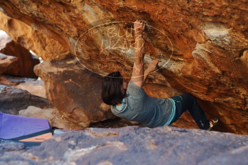 Bouldering in Hueco Tanks on 12/26/2019 with Blue Lizard Climbing and Yoga
Filename: SRM_20191226_1709550.jpg
Aperture: f/2.8
Shutter Speed: 1/320
Body: Canon EOS-1D Mark II
Lens: Canon EF 50mm f/1.8 II