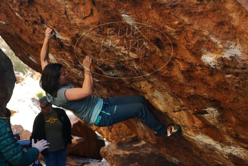 Bouldering in Hueco Tanks on 12/26/2019 with Blue Lizard Climbing and Yoga
Filename: SRM_20191226_1710140.jpg
Aperture: f/3.5
Shutter Speed: 1/320
Body: Canon EOS-1D Mark II
Lens: Canon EF 50mm f/1.8 II