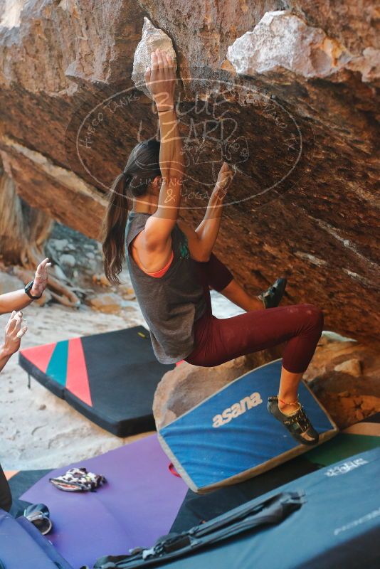 Bouldering in Hueco Tanks on 12/26/2019 with Blue Lizard Climbing and Yoga

Filename: SRM_20191226_1754000.jpg
Aperture: f/4.0
Shutter Speed: 1/250
Body: Canon EOS-1D Mark II
Lens: Canon EF 50mm f/1.8 II
