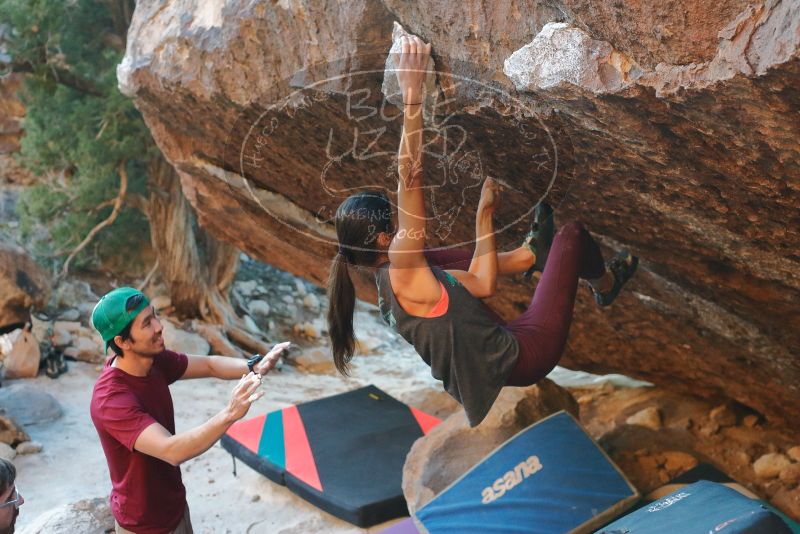 Bouldering in Hueco Tanks on 12/26/2019 with Blue Lizard Climbing and Yoga

Filename: SRM_20191226_1754040.jpg
Aperture: f/4.0
Shutter Speed: 1/250
Body: Canon EOS-1D Mark II
Lens: Canon EF 50mm f/1.8 II