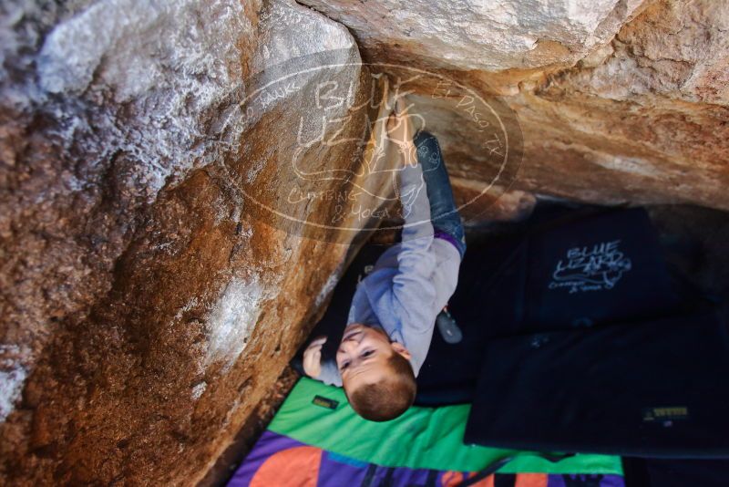 Bouldering in Hueco Tanks on 12/27/2019 with Blue Lizard Climbing and Yoga

Filename: SRM_20191227_1047580.jpg
Aperture: f/4.0
Shutter Speed: 1/250
Body: Canon EOS-1D Mark II
Lens: Canon EF 16-35mm f/2.8 L