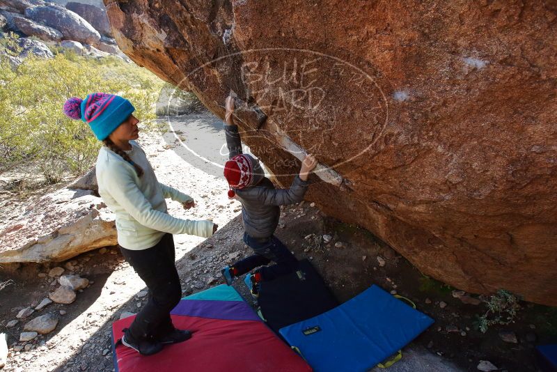 Bouldering in Hueco Tanks on 12/27/2019 with Blue Lizard Climbing and Yoga

Filename: SRM_20191227_1103040.jpg
Aperture: f/7.1
Shutter Speed: 1/400
Body: Canon EOS-1D Mark II
Lens: Canon EF 16-35mm f/2.8 L