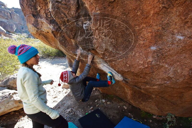 Bouldering in Hueco Tanks on 12/27/2019 with Blue Lizard Climbing and Yoga

Filename: SRM_20191227_1103110.jpg
Aperture: f/6.3
Shutter Speed: 1/250
Body: Canon EOS-1D Mark II
Lens: Canon EF 16-35mm f/2.8 L