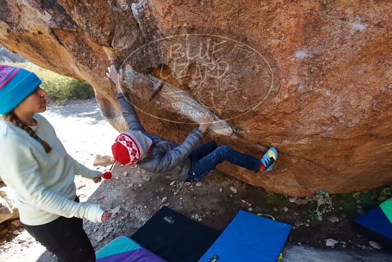 Bouldering in Hueco Tanks on 12/27/2019 with Blue Lizard Climbing and Yoga

Filename: SRM_20191227_1104000.jpg
Aperture: f/5.6
Shutter Speed: 1/250
Body: Canon EOS-1D Mark II
Lens: Canon EF 16-35mm f/2.8 L