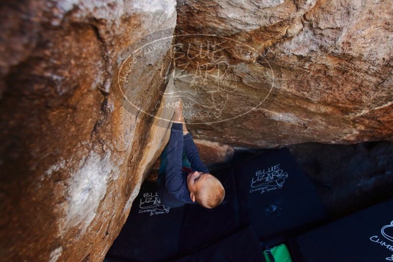 Bouldering in Hueco Tanks on 12/27/2019 with Blue Lizard Climbing and Yoga

Filename: SRM_20191227_1116051.jpg
Aperture: f/4.0
Shutter Speed: 1/250
Body: Canon EOS-1D Mark II
Lens: Canon EF 16-35mm f/2.8 L