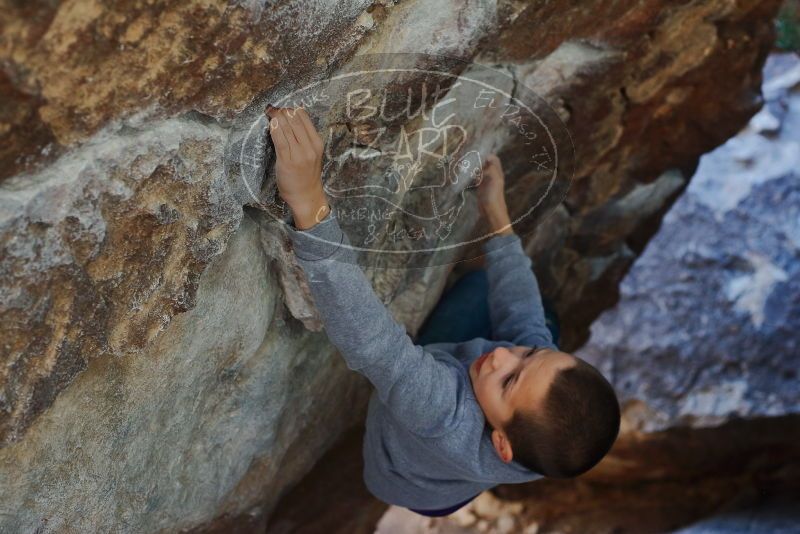 Bouldering in Hueco Tanks on 12/27/2019 with Blue Lizard Climbing and Yoga

Filename: SRM_20191227_1225561.jpg
Aperture: f/4.0
Shutter Speed: 1/320
Body: Canon EOS-1D Mark II
Lens: Canon EF 50mm f/1.8 II