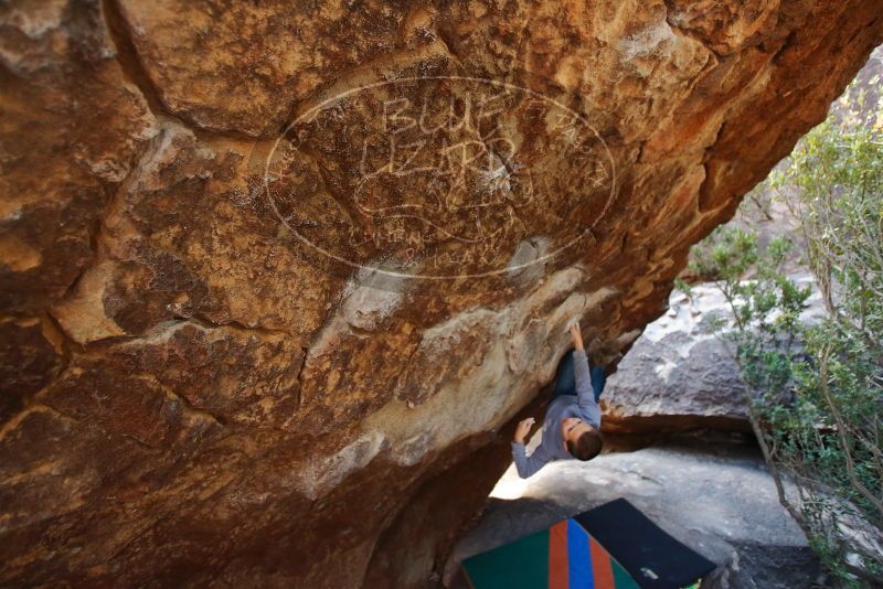 Bouldering in Hueco Tanks on 12/27/2019 with Blue Lizard Climbing and Yoga

Filename: SRM_20191227_1227050.jpg
Aperture: f/2.8
Shutter Speed: 1/250
Body: Canon EOS-1D Mark II
Lens: Canon EF 16-35mm f/2.8 L