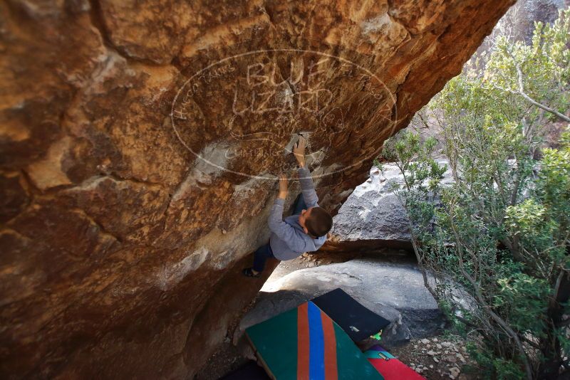 Bouldering in Hueco Tanks on 12/27/2019 with Blue Lizard Climbing and Yoga

Filename: SRM_20191227_1227230.jpg
Aperture: f/2.8
Shutter Speed: 1/250
Body: Canon EOS-1D Mark II
Lens: Canon EF 16-35mm f/2.8 L