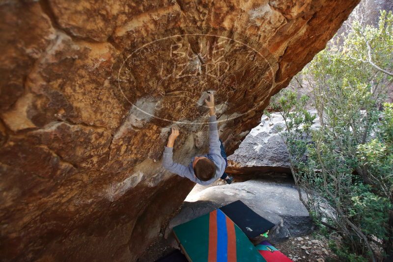 Bouldering in Hueco Tanks on 12/27/2019 with Blue Lizard Climbing and Yoga

Filename: SRM_20191227_1227270.jpg
Aperture: f/2.8
Shutter Speed: 1/200
Body: Canon EOS-1D Mark II
Lens: Canon EF 16-35mm f/2.8 L