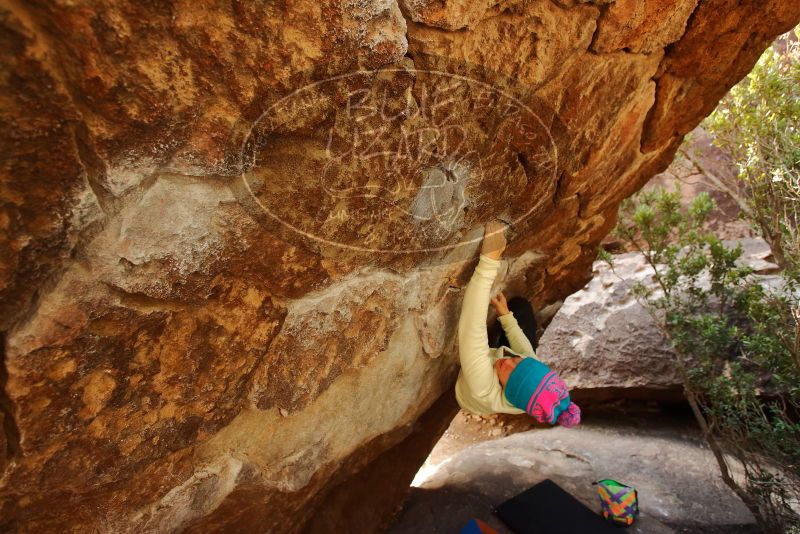 Bouldering in Hueco Tanks on 12/27/2019 with Blue Lizard Climbing and Yoga

Filename: SRM_20191227_1236020.jpg
Aperture: f/4.5
Shutter Speed: 1/250
Body: Canon EOS-1D Mark II
Lens: Canon EF 16-35mm f/2.8 L