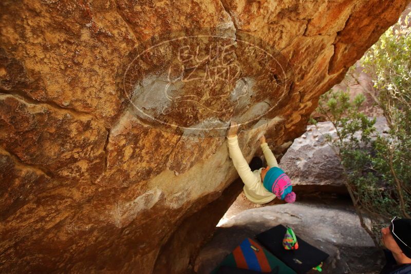 Bouldering in Hueco Tanks on 12/27/2019 with Blue Lizard Climbing and Yoga

Filename: SRM_20191227_1237320.jpg
Aperture: f/5.0
Shutter Speed: 1/250
Body: Canon EOS-1D Mark II
Lens: Canon EF 16-35mm f/2.8 L