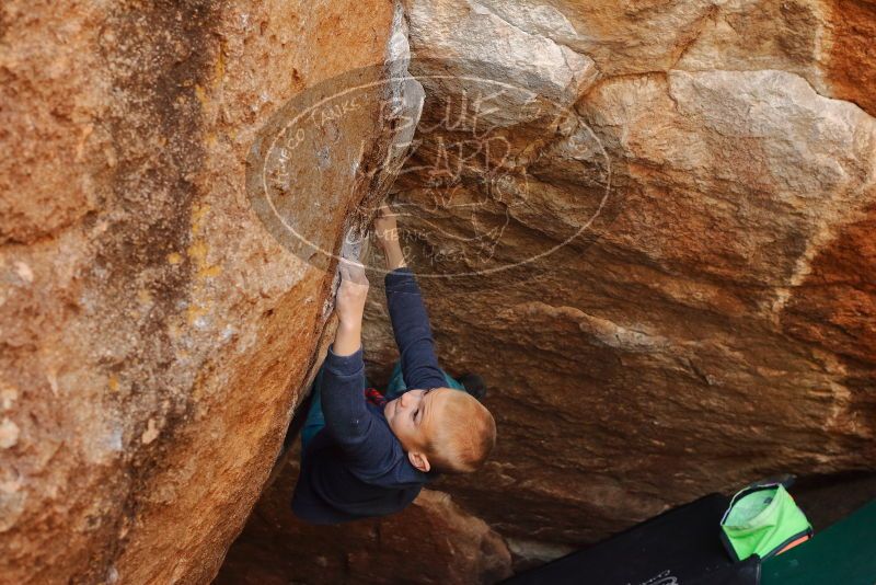 Bouldering in Hueco Tanks on 12/27/2019 with Blue Lizard Climbing and Yoga

Filename: SRM_20191227_1306431.jpg
Aperture: f/5.0
Shutter Speed: 1/320
Body: Canon EOS-1D Mark II
Lens: Canon EF 50mm f/1.8 II