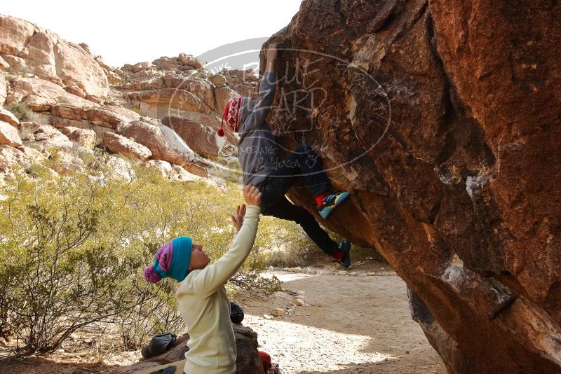 Bouldering in Hueco Tanks on 12/27/2019 with Blue Lizard Climbing and Yoga
Filename: SRM_20191227_1330540.jpg
Aperture: f/8.0
Shutter Speed: 1/320
Body: Canon EOS-1D Mark II
Lens: Canon EF 16-35mm f/2.8 L