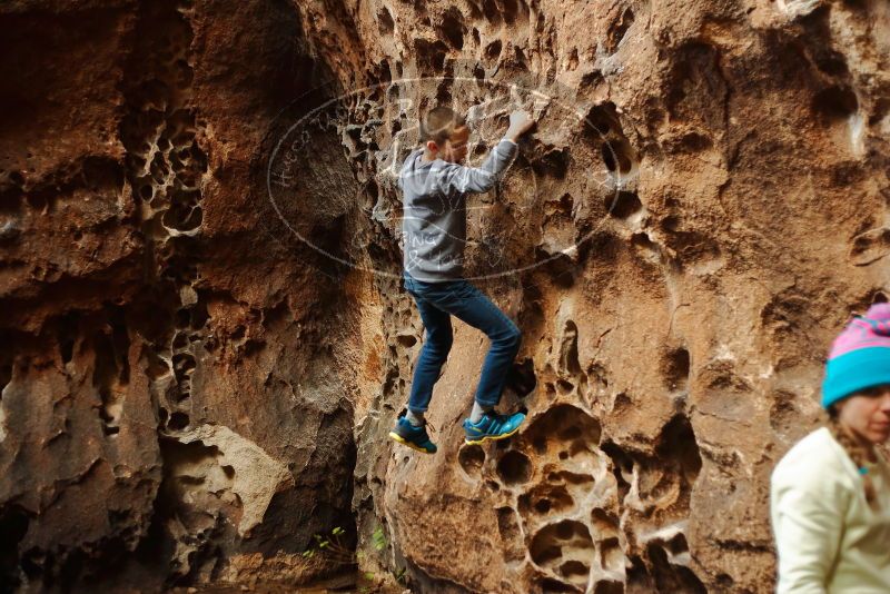 Bouldering in Hueco Tanks on 12/27/2019 with Blue Lizard Climbing and Yoga

Filename: SRM_20191227_1600390.jpg
Aperture: f/2.5
Shutter Speed: 1/250
Body: Canon EOS-1D Mark II
Lens: Canon EF 50mm f/1.8 II