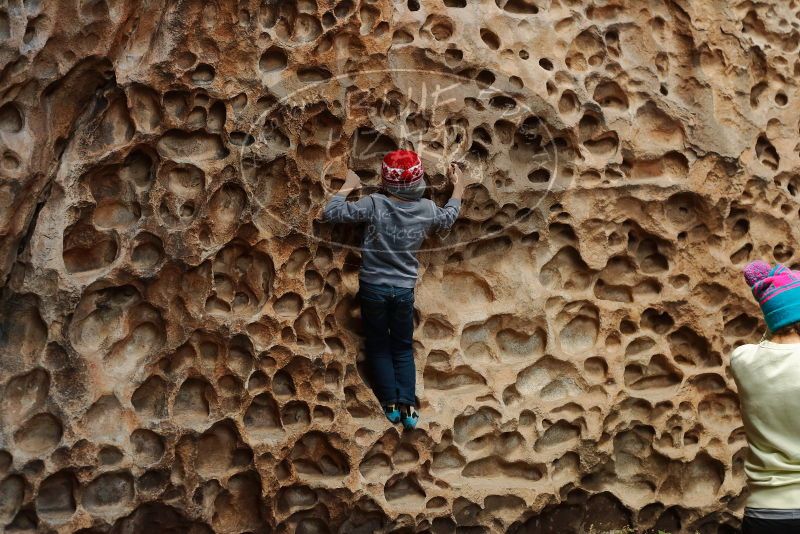 Bouldering in Hueco Tanks on 12/27/2019 with Blue Lizard Climbing and Yoga

Filename: SRM_20191227_1602140.jpg
Aperture: f/4.0
Shutter Speed: 1/160
Body: Canon EOS-1D Mark II
Lens: Canon EF 50mm f/1.8 II